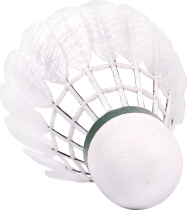 Victor New Carbonsonic 